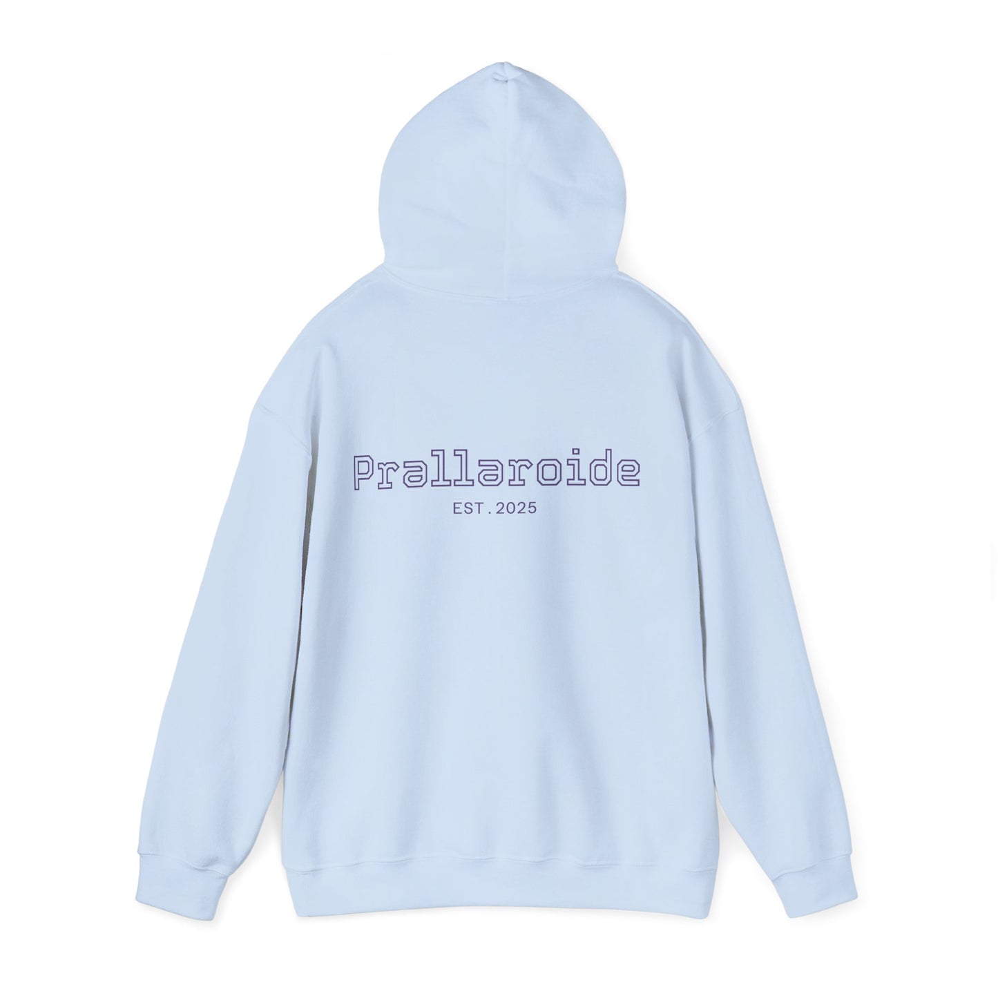 Original Unisex Heavy Blend Hoodie