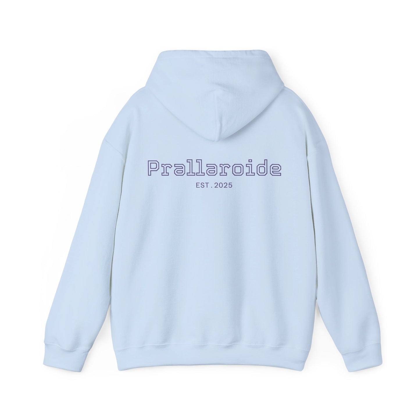 Original Unisex Heavy Blend Hoodie