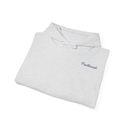 Original Unisex Heavy Blend Hoodie