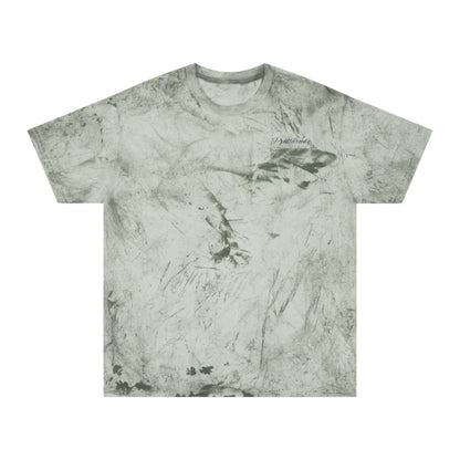 Unisex Color Blast Tee