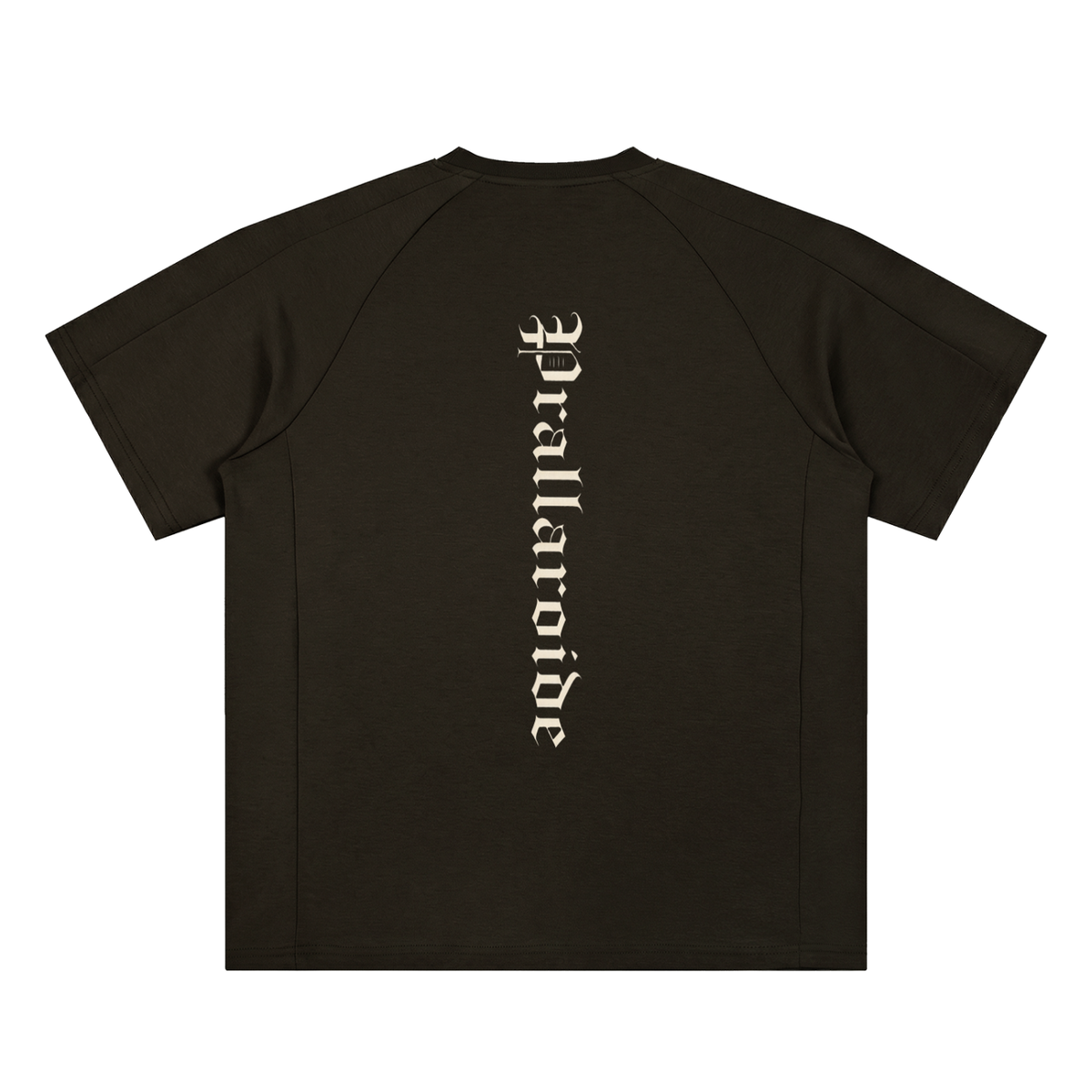 Unisex Oversized Paneled Raglan T-Shirt