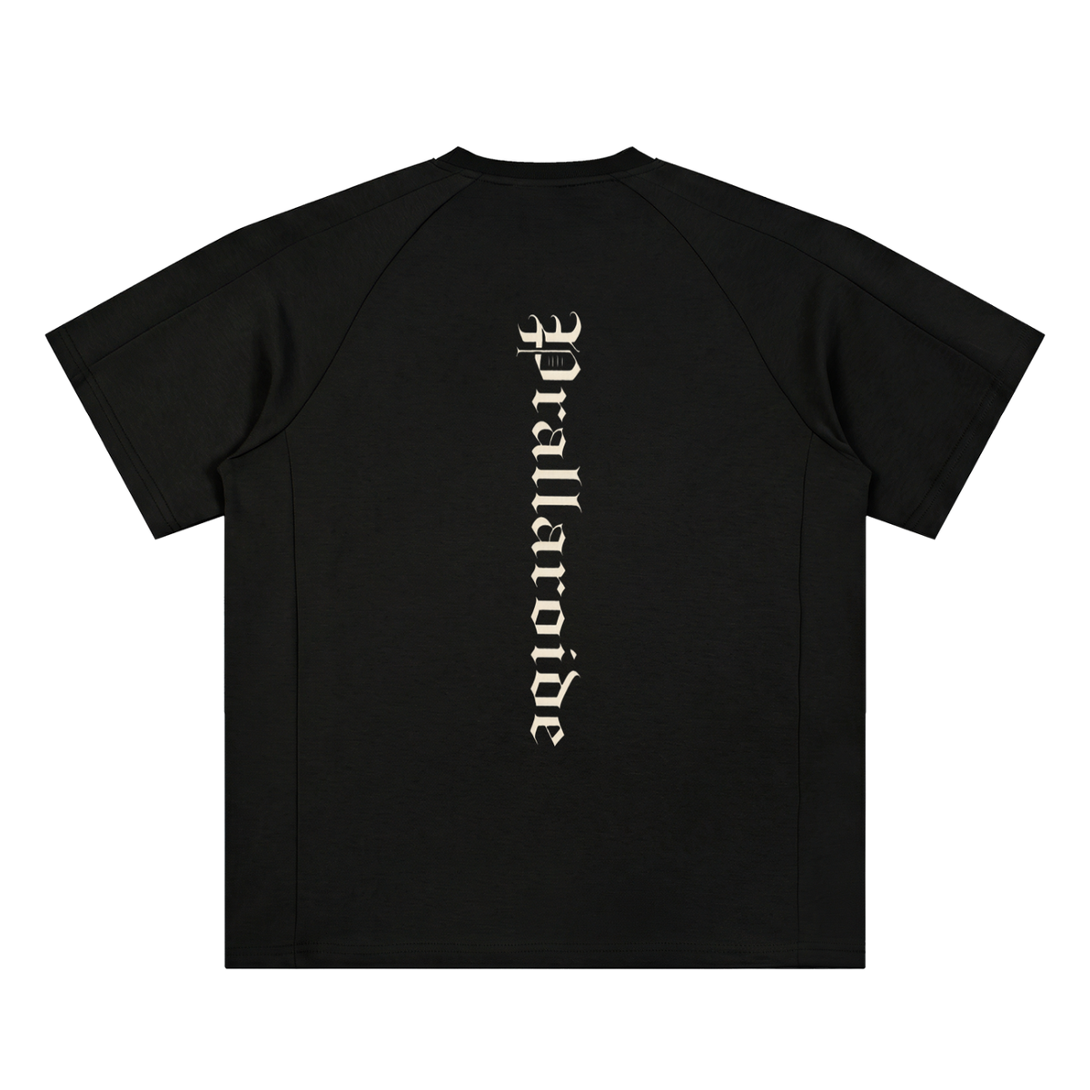 Unisex Oversized Paneled Raglan T-Shirt