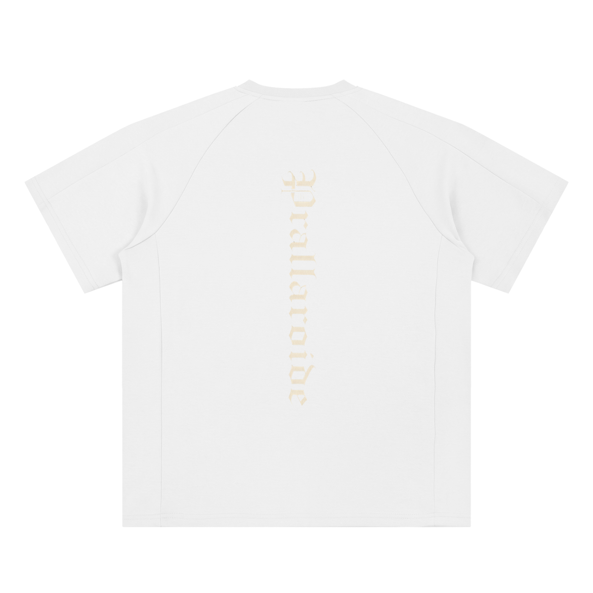 Unisex Oversized Paneled Raglan T-Shirt